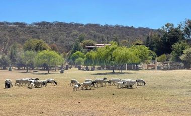 Lujosa cabaña en venta en Vergel de la Sierra