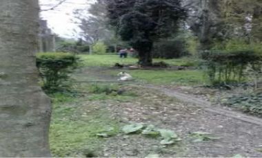 Guernica: lotes de 16 hectareas