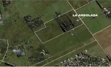 Guernica: lotes de 16 hectareas