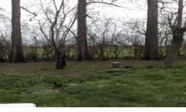 Guernica: lotes de 16 hectareas