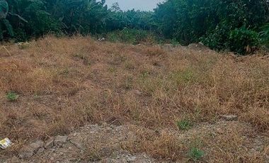 Terreno de Venta en el sitio La Peaña en la Via La Ferroviaria.
