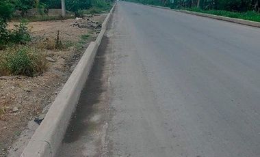 Terreno de Venta en el sitio La Peaña en la Via La Ferroviaria.