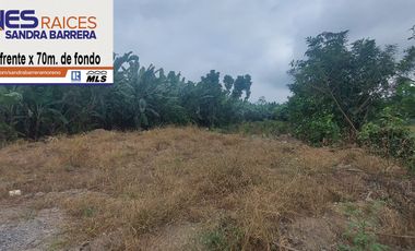 Terreno de Venta en el sitio La Peaña en la Via La Ferroviaria.