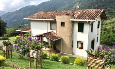 VENDEMOS FINCA EN AMAGA