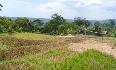 Jual tanah sawah dan kebun pemandangan bagus di Kertasari Bojong Purwakarta Jawa Barat