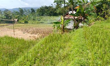 Jual tanah sawah dan kebun pemandangan bagus di Kertasari Bojong Purwakarta Jawa Barat