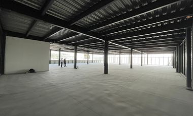 RENTA OFICINAS EN  TOLUQUILLA 1er. NIVEL