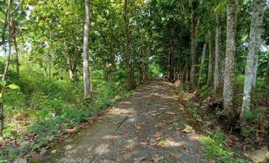 Rumah minimalis dekat Pusat kota wates Kulonprogo 200jt-an