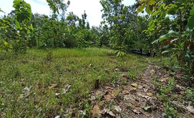 Rumah minimalis dekat Pusat kota wates Kulonprogo 200jt-an