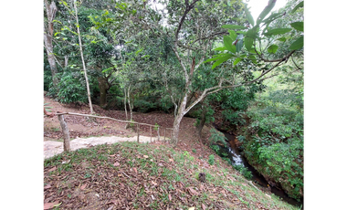 Terreno en Venta en Penonomé