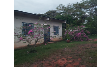 Terreno en Venta en Penonomé