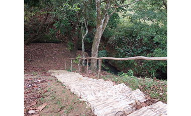 Terreno en Venta en Penonomé