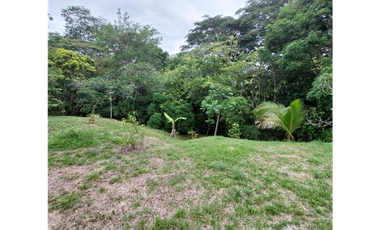 Terreno en Venta en Penonomé