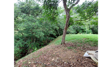 Terreno en Venta en Penonomé