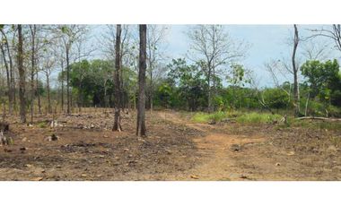 VENDO FINCA DE 35 HAS ORILLA DE CALLE EN CHIRIQU