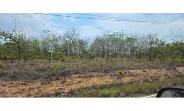 VENDO FINCA DE 35 HAS ORILLA DE CALLE EN CHIRIQU