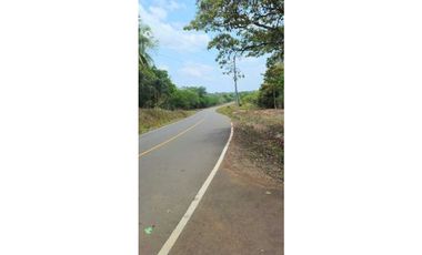 VENDO FINCA DE 35 HAS ORILLA DE CALLE EN CHIRIQU