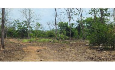 VENDO FINCA DE 35 HAS ORILLA DE CALLE EN CHIRIQU