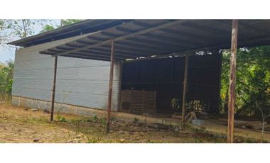 VENDO FINCA DE 35 HAS ORILLA DE CALLE EN CHIRIQU