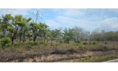 VENDO FINCA DE 35 HAS ORILLA DE CALLE EN CHIRIQU