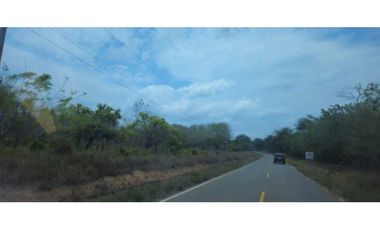VENDO FINCA DE 35 HAS ORILLA DE CALLE EN CHIRIQU