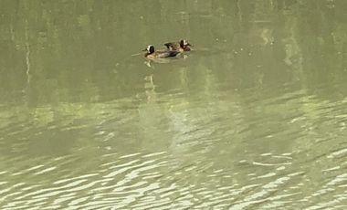 lote en venta en la morada. Cod V9147