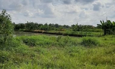 Tanah 200 meter dari jalan Utama tawangsari krembangan..,190 Jt Negooo