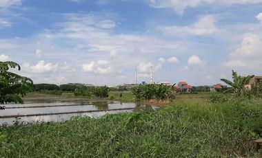 Tanah 200 meter dari jalan Utama tawangsari krembangan..,190 Jt Negooo