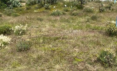 Terreno en venta en San Agustín Tlaxiaca Hidalgo