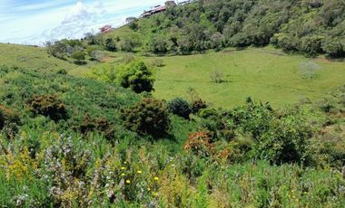 FINCA en VENTA en San Vicente San vicente