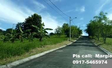 150SQM  OVERLOOKING VIEW Woodland Hills Lot. 20K per SQM. Near St. Scholastica Marikina Heights