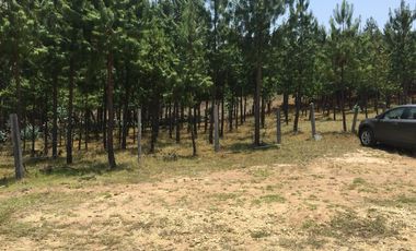 FINCA en VENTA en Oicatá FORANTIVA
