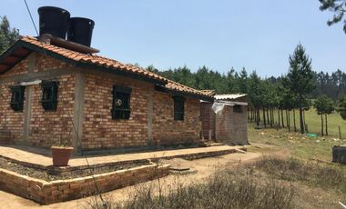 FINCA en VENTA en Oicatá FORANTIVA