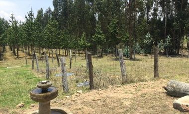 FINCA en VENTA en Oicatá FORANTIVA