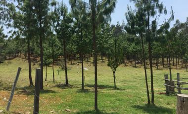 FINCA en VENTA en Oicatá FORANTIVA