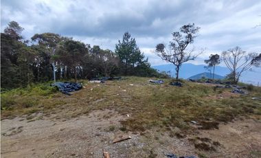 Lote en caldas sector la Miel