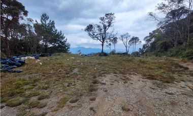 Lote en caldas sector la Miel