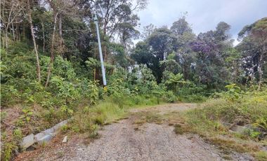 Lote en caldas sector la Miel
