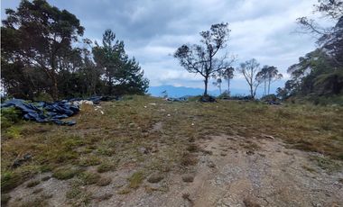 Lote en caldas sector la Miel