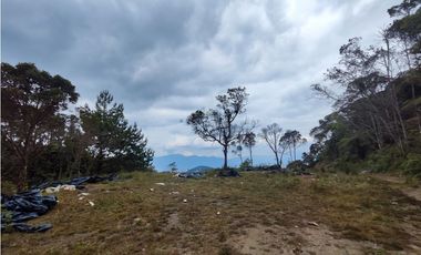 Lote en caldas sector la Miel