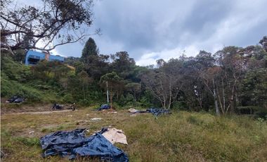 Lote en caldas sector la Miel