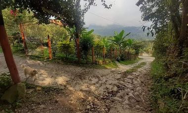 finca en venta en seleccionar barrio. Cod V27479