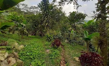 finca en venta en seleccionar barrio. Cod V27479