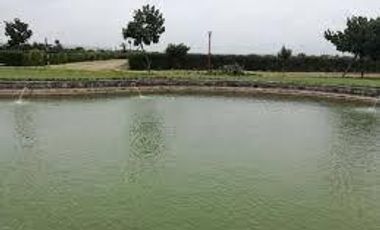 OPORTUNIDAD VENDO TERRENO DE 500 M2 DENTRO DE CONDOMINIO ALTO PRADERA ASIA Km 99 Pan. Sur (terreno inscrito en RRPP se puede solicitar crédito bancari