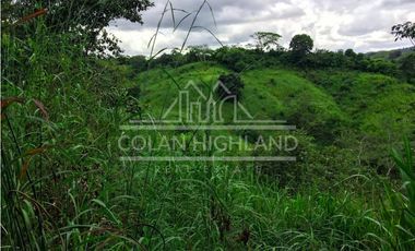 Se Vende Finca en Mogollón, Macaracas, Los Santos 
