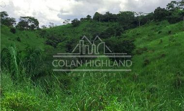 Se Vende Finca en Mogollón, Macaracas, Los Santos 