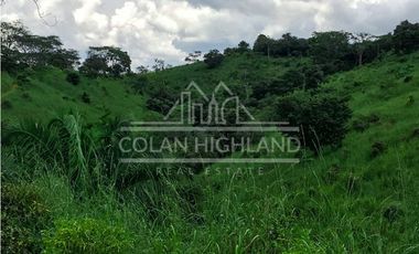 Se Vende Finca en Mogollón, Macaracas, Los Santos 