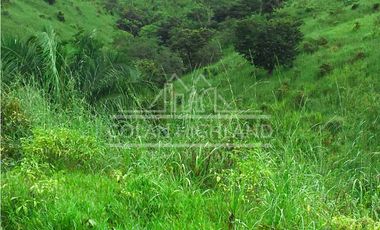 Se Vende Finca en Mogollón, Macaracas, Los Santos 