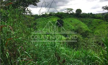 Se Vende Finca en Mogollón, Macaracas, Los Santos 