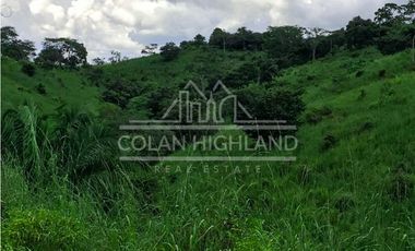 Se Vende Finca en Mogollón, Macaracas, Los Santos 